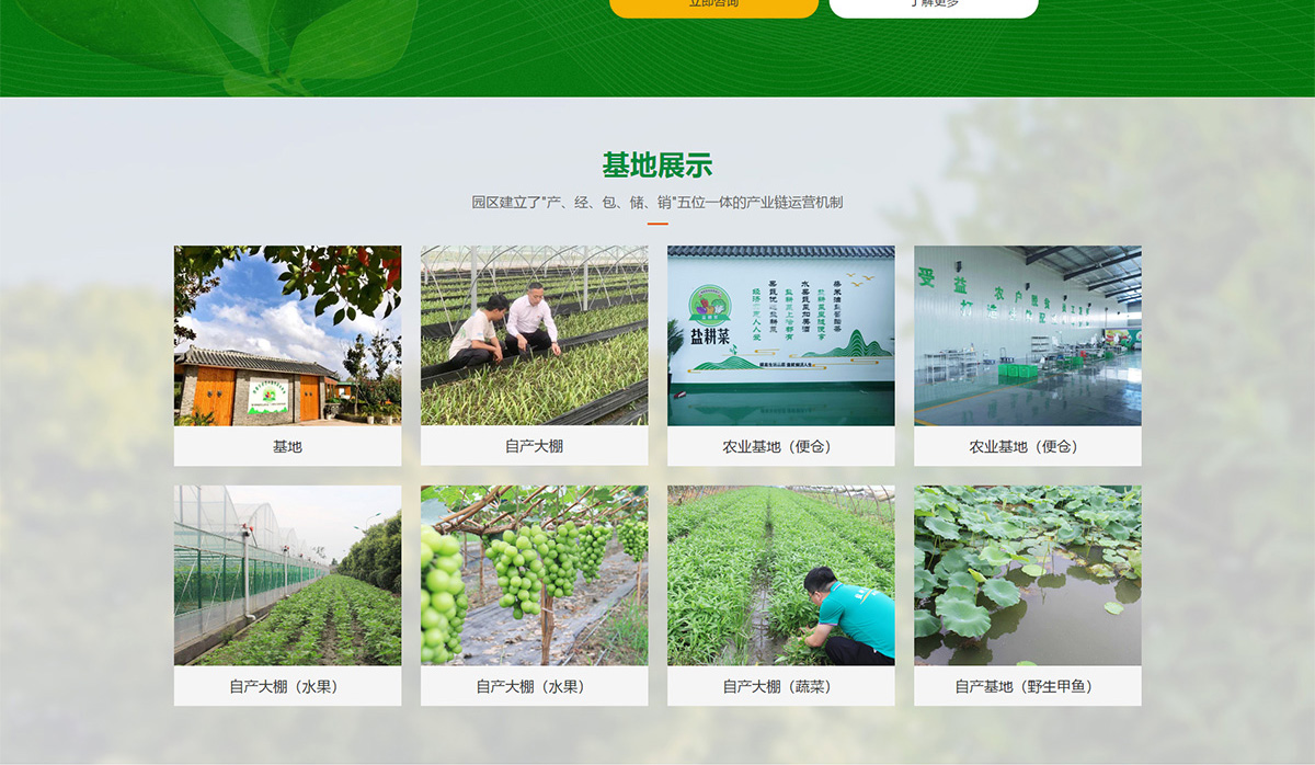 江蘇鹽耕菜農(nóng)業(yè)科技發(fā)展有限公司2_03.jpg